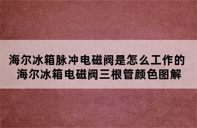 海尔冰箱脉冲电磁阀是怎么工作的 海尔冰箱电磁阀三根管颜色图解